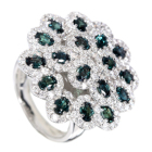 �A���L�T���h���C�g ��2.3ct �_�C�������h 1.7ct �v���`�i �����O(�w��)