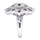 �A���L�T���h���C�g ��2.3ct �_�C�������h 1.7ct �v���`�i �����O(�w��)