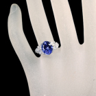 ^UiCg 3.7ct _Ch 0.5ct v`i O(w)