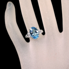 T^}AANA} 3.7ct _Ch 0.5ct v`i O(w)