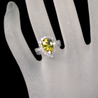 XtF[ 3.5ct _Ch 0.7ct v`i O(w)