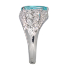 pCog} 2.4ct _Ch 2ct v`i O(w)