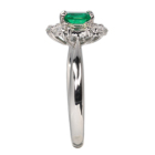 RrAYGh(Intence Green) 0.5ct _Ch 0.6ct v`i O(w)