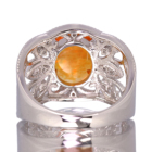 LVRYIp[ 1.7ct _Ch v`i O(w)