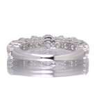 _Ch 3.0ct v`i O(w)