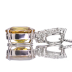 XtF[ 3.3ct ALThCg _Ch v`i lbNX