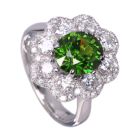 VAYf}gChK[lbg 2.7ct _Ch 1.0ct v`i O(w)