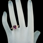 sNg} 2.5ct _Ch 0.2ct sNS[h O(w)
