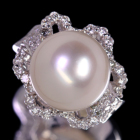 m^ 14o _Ch 1.1ct zCgS[h O(w)