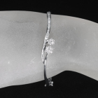 _Ch 0.8ct zCgS[h oO
