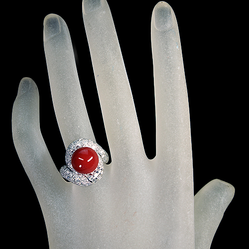 本赤珊瑚 特大大玉 21.3㎜ 14g トニカ 東さ7-0610☆1F 本赤珊瑚