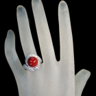 ԎX@11o _Ch 1.3ct v`i O(w)