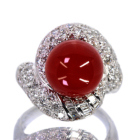 ԎX@11o _Ch 1.3ct v`i O(w)