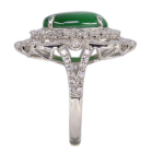 Ő 3.8ct _Ch 1.6ct v`i O(w)