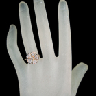 _Ch 0.6ct sNS[h O(w)