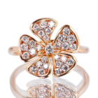 _Ch 0.6ct sNS[h O(w)