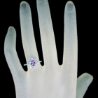 MsNTt@CA 0.5ct _Ch 0.7ct v`i O(w)