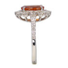 �X�y�T�^�C�g�K�[�l�b�g�i�}���_�����K�[�l�b�g�j ��3ct �_�C�������h 1ct �v���`�i �����O(�w��)