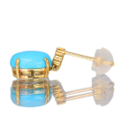 �^�[�R�C�Y �_�C�������h �C�G���[�S�[���h �s�A�X