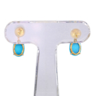 �^�[�R�C�Y �_�C�������h �C�G���[�S�[���h �s�A�X