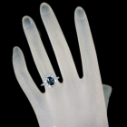 �C���f�B�S���C�g�g���}����(�u���[�g���}����) 1.4ct �_�C�������h 0.8ct �v���`�i �����O(�w��)