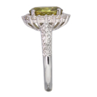 �X�t�F�[�� 3.05ct �_�C�������h 0.86ct �v���`�i �����O(�w��)