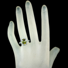 �X�t�F�[�� 2.84ct �_�C�������h 0.85ct �v���`�i �����O(�w��)