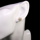 �C�G���[�_�C�������h 2ct/VLY/SI2 �_�C�������h 0.3ct �v���`�i �s�A�X