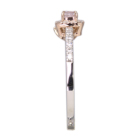 �s���N�_�C�������h 0.16ct/FLP/SI2 �_�C�������h ��0.3ct �v���`�i �����O(�w��)