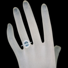 �A�N�}���� 1.6ct �_�C�������h 0.5ct �v���`�i �����O(�w��)