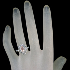 �s���N�_�C�������h 0.121ct/FIP/SI1 ���[�Y�J�b�g�_�C�������h ��0.8ct �_�C�������h 0.3ct �v���`�i �s���N�S�[���h �����O(�w��)