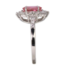 ����M�p�p���`�A�T�t�@�C�A 1.6ct �_�C�������h ��0.8ct �v���`�i �����O(�w��)