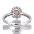����M�p�p���`�A�T�t�@�C�A 0.5ct �_�C�������h 0.44ct �v���`�i �����O(�w��)