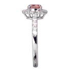 ����M�p�p���`�A�T�t�@�C�A 0.5ct �_�C�������h 0.44ct �v���`�i �����O(�w��)