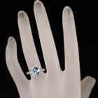 �O�����f�B�f�B�G���C�g ��1.3ct �_�C�������h ��1.1ct �v���`�i �����O(�w��)