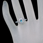 �u���W���Y�p���C�o�g���}���� 0.24ct ���[�Y�J�b�g�_�C�������h ��0.4ct �_�C�������h 0.4ct �v���`�i �����O(�w��)