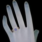 �p�[�v���^���U�i�C�g 1.0ct �_�C�������h ��0.3ct �C�G���[�S�[���h �����O(�w��)