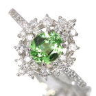 �O���[���K�[�l�b�g ��1ct �_�C�������h 0.5ct �v���`�i �����O(�w��)