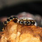 �u���b�N�_�C�������h 1.1ct �C�G���[�S�[���h �s�A�X