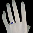 �^���U�i�C�g 1.1ct �_�C�������h 0.3ct �v���`�i �����O(�w��)
