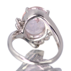 �����K�i�C�g 4.6ct �_�C�������h �v���`�i �����O(�w��)
