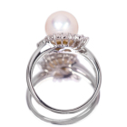 ������^�� 8.9�o �_�C�������h 0.5ct �v���`�i �����O(�w��)