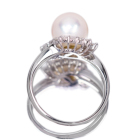 ������^�� 8.9�o �_�C�������h 0.5ct �v���`�i �����O(�w��)