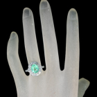 �p���C�o�g���}���� 3.2ct �_�C�������h ��1.5ct �v���`�i �����O(�w��)