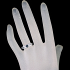 �A���L�T���h���C�g ��0.3ct �_�C�������h ��0.4ct �v���`�i �����O(�w��)