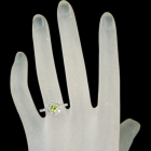 �X�t�F�[�� ��0.8ct �_�C�������h 0.8ct �v���`�i �����O(�w��)
