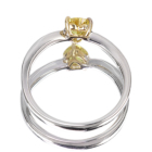 �n�[�g�V�F�C�v����M�C�G���[�T�t�@�C�A ��0.5ct �_�C�������h �v���`�i �C�G���[�S�[���h �����O(�w��)