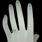 �A���L�T���h���C�g�L���b�c�A�C ��0.7ct �_�C�������h 0.4ct �v���`�i �����O(�w��)
