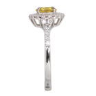 ����M�C�G���[�T�t�@�C�A ��0.6ct �_�C�������h ��0.4ct �v���`�i �����O(�w��)