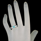 �u���W���Y�p���C�o�g���}���� 0.4ct �_�C�������h 0.3ct �v���`�i �����O(�w��)